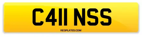C411 NSS