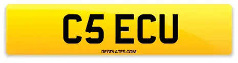 C5 ECU
