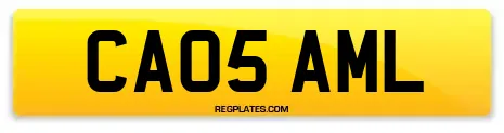 CA05 AML