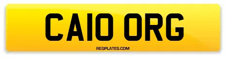 CA10 ORG