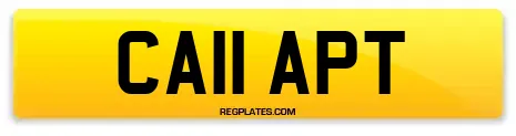 CA11 APT