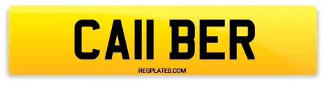 CA11 BER