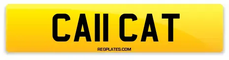 CA11 CAT