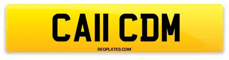 CA11 CDM