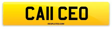 CA11 CEO