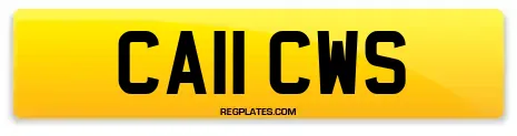 CA11 CWS