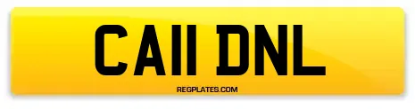 CA11 DNL