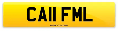CA11 FML
