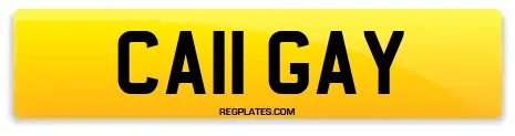 CA11 GAY