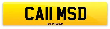 CA11 MSD