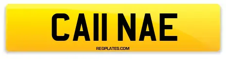 CA11 NAE