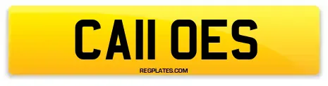 CA11 OES