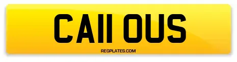 CA11 OUS
