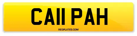 CA11 PAH