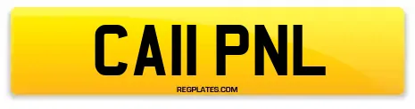 CA11 PNL
