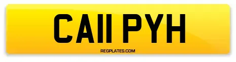 CA11 PYH