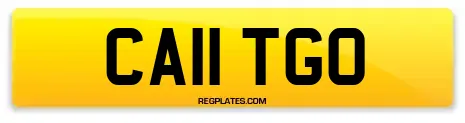 CA11 TGO