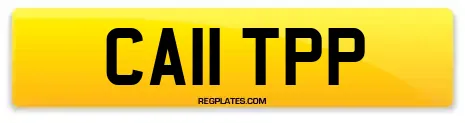 CA11 TPP