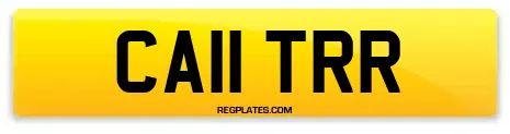 CA11 TRR
