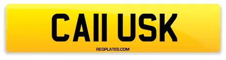 CA11 USK