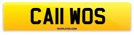 CA11 WOS