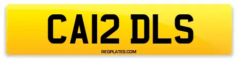 CA12 DLS
