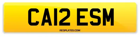 CA12 ESM