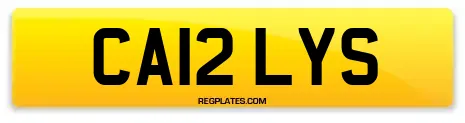 CA12 LYS