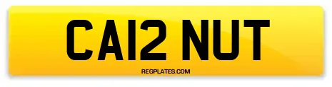 CA12 NUT