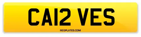 CA12 VES