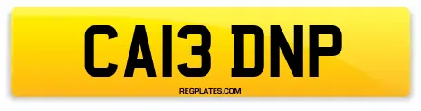CA13 DNP