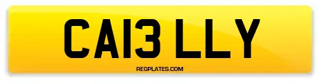 CA13 LLY