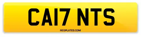 CA17 NTS
