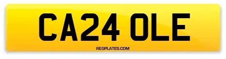 CA24 OLE