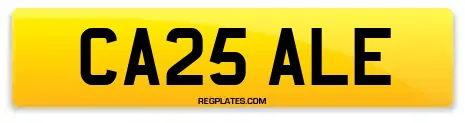 CA25 ALE