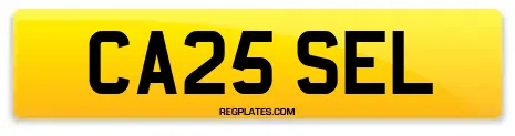 CA25 SEL