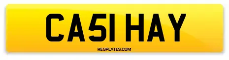 CA51 HAY