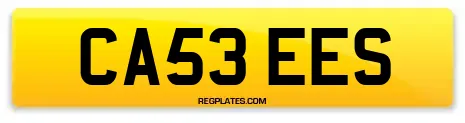 CA53 EES