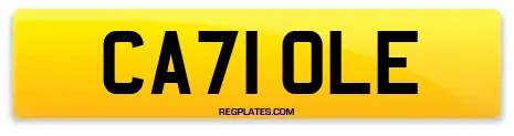 CA71 OLE