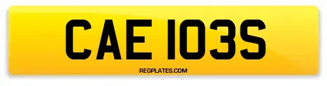 CAE 103S