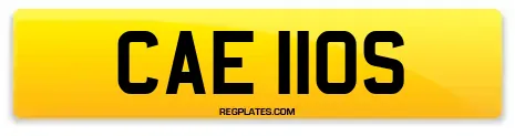 CAE 110S