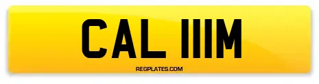 CAL 111M