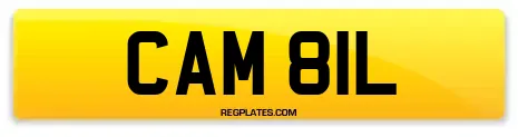 CAM 81L