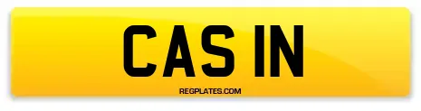 CAS 1N