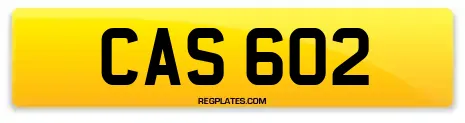 CAS 602