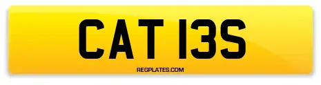 CAT 13S
