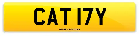 CAT 17Y
