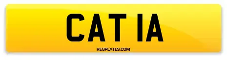 CAT 1A
