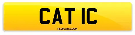 CAT 1C