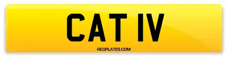 CAT 1V